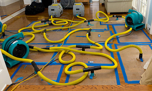 Professional Crawl Space Water Removal technician working in Nokomis, IL